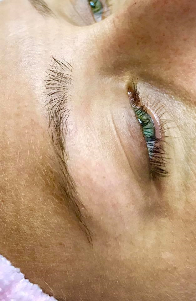 lashbrow